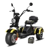 Электротрицикл Siberton Pro Trike 3000W 10"